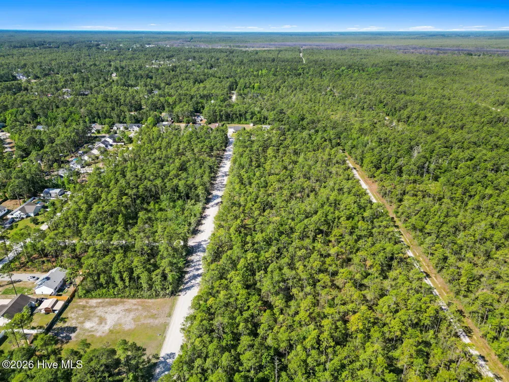 Lot 7 Juniper Road Boiling Spring Lakes, NC 28461