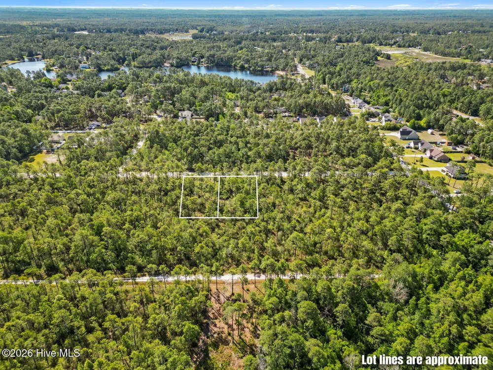 Lot 7 Juniper Road Boiling Spring Lakes, NC 28461