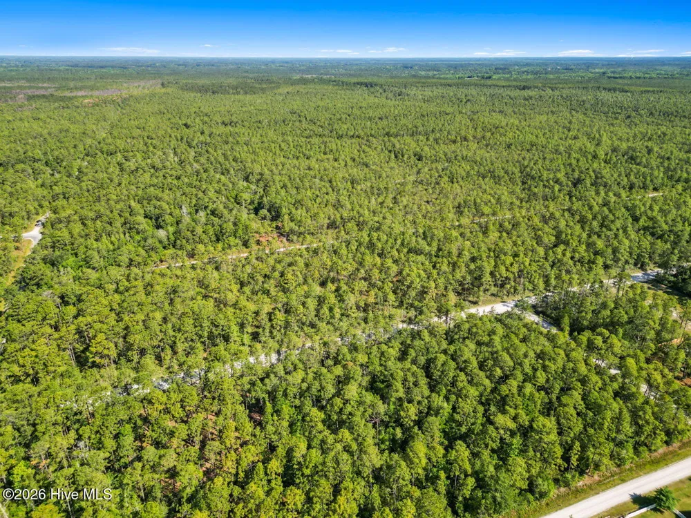 Lot 6 Juniper Road Boiling Spring Lakes, NC 28461