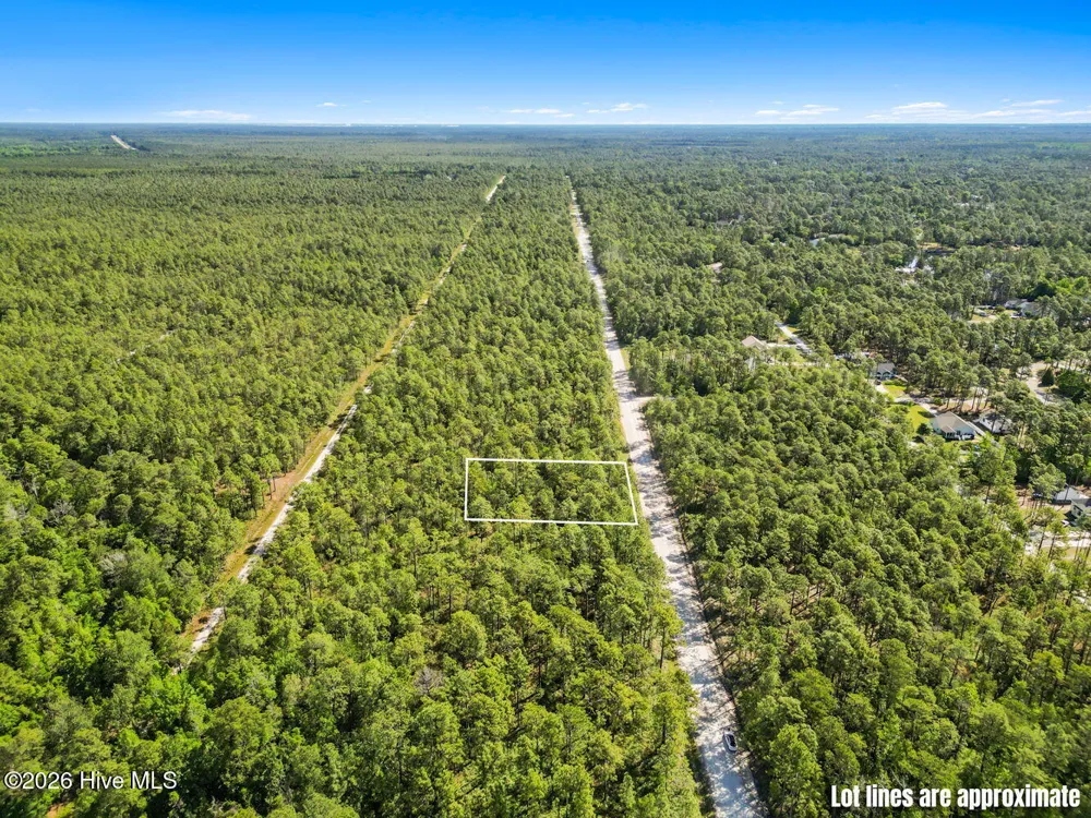Lot 6 Juniper Road Boiling Spring Lakes, NC 28461