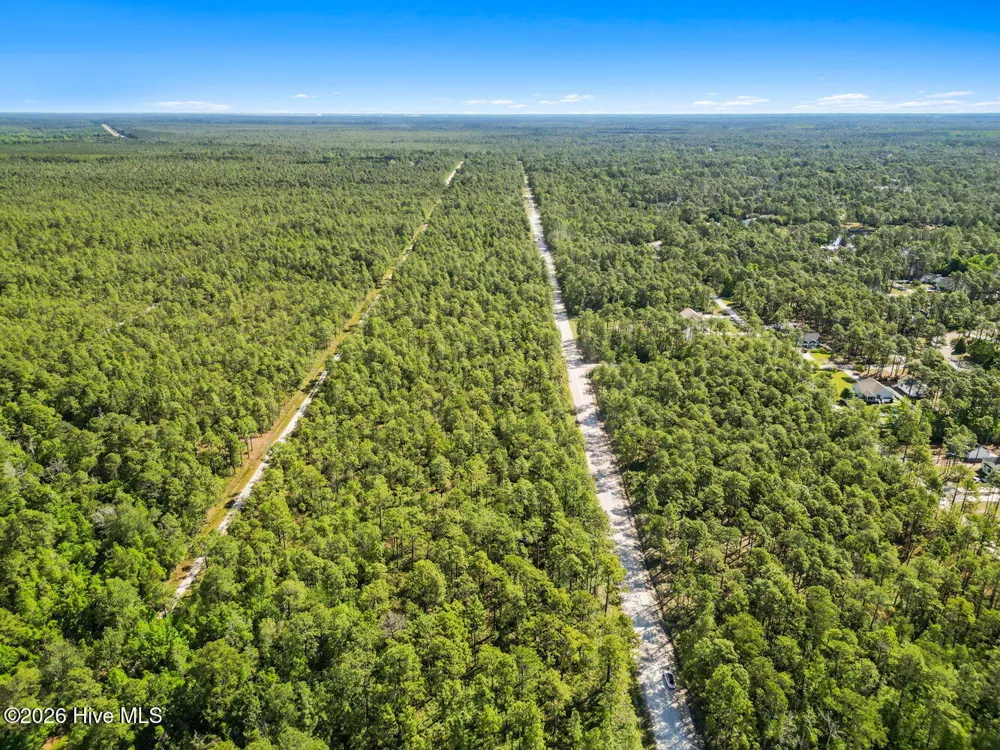Lot 6 Juniper Road Boiling Spring Lakes, NC 28461