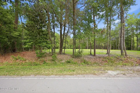 163 Trent Shores Drive
