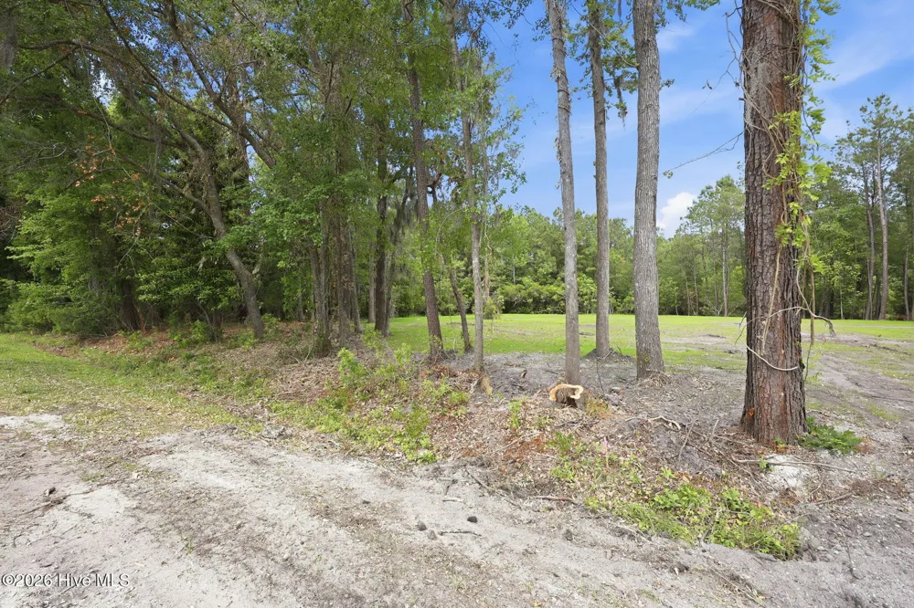 163 Trent Shores Drive Trent Woods, NC 28562