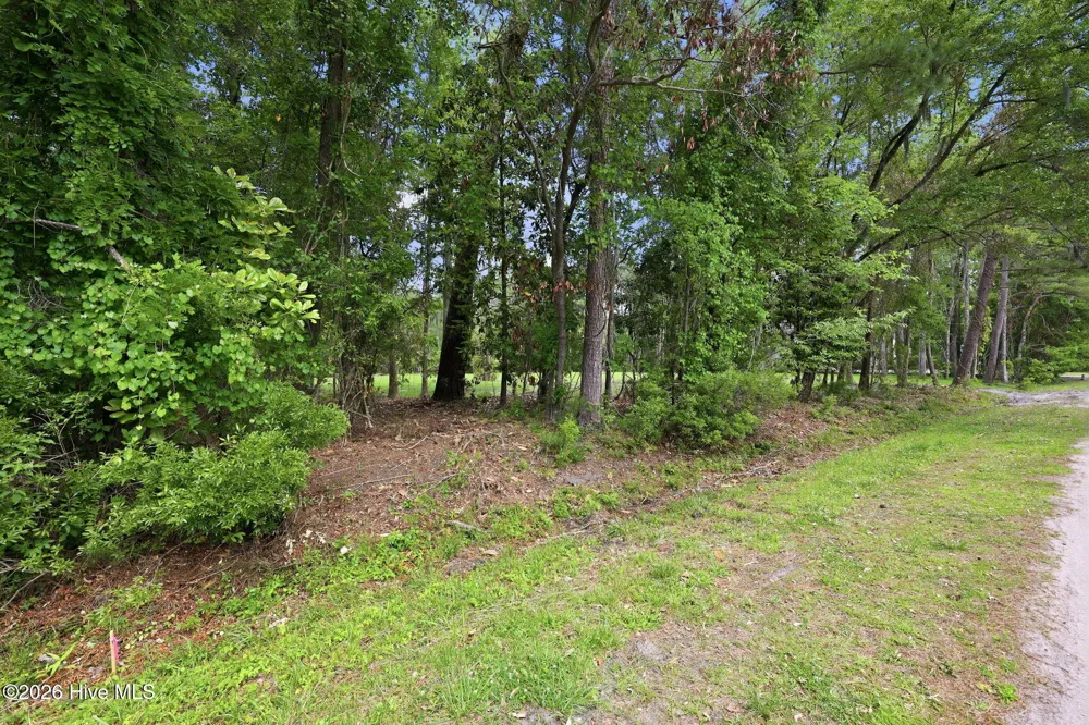 163 Trent Shores Drive Trent Woods, NC 28562