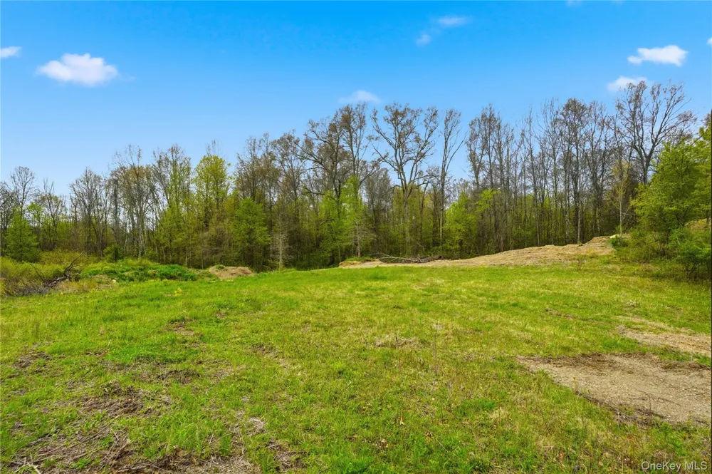 11 Scenic Meadow Drive Gardiner, NY 12525
