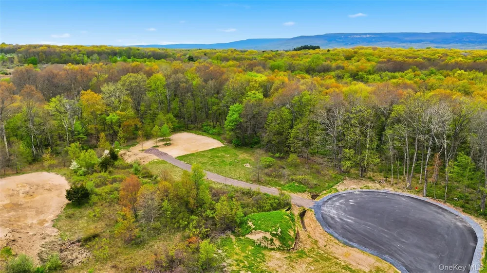 11 Scenic Meadow Drive Gardiner, NY 12525