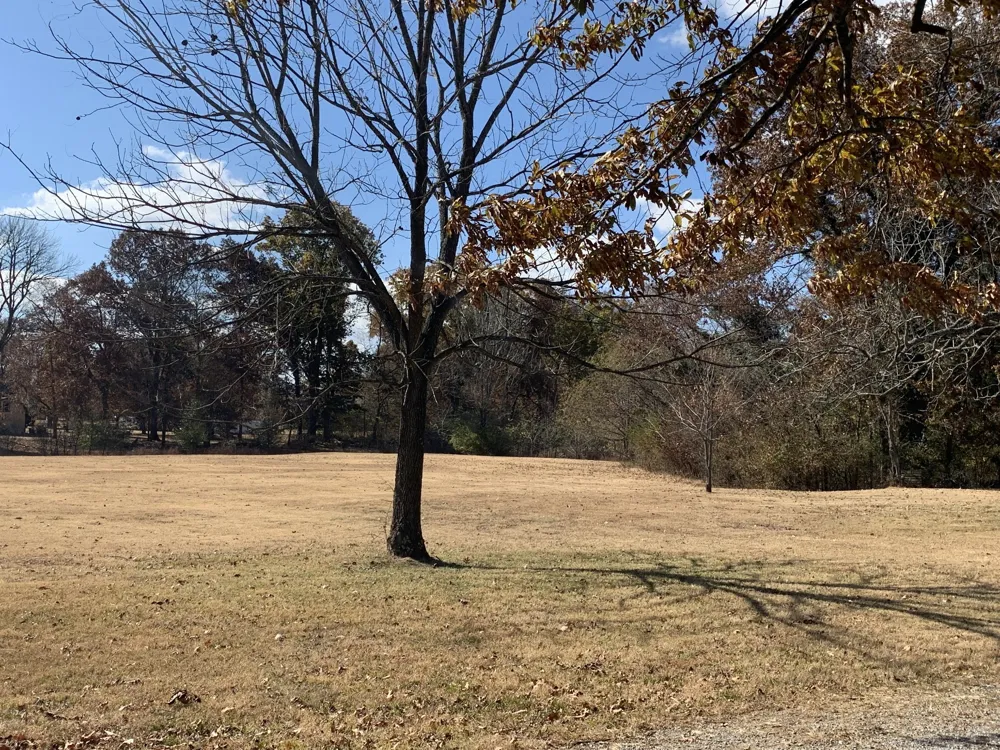 1305 Brinkley Rd Murfreesboro, TN 37128