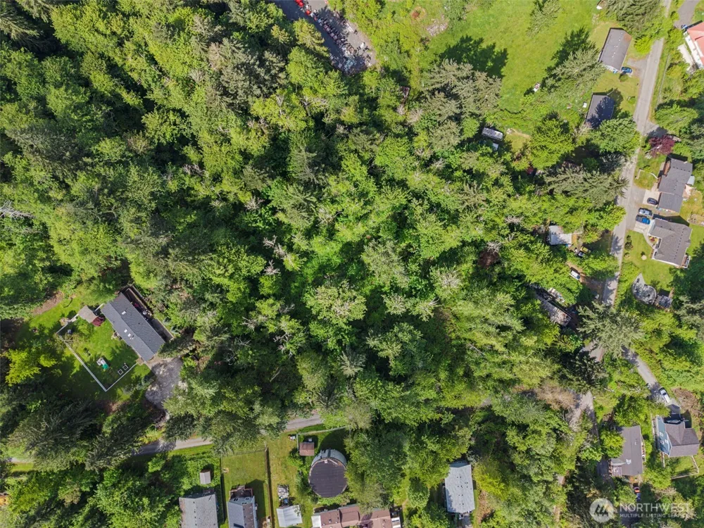 475 Larson Street Eatonville, WA 98328