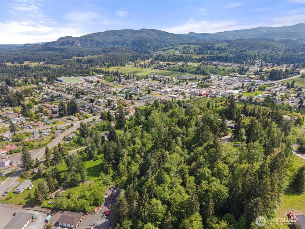 475 Larson Street Eatonville, WA 98328