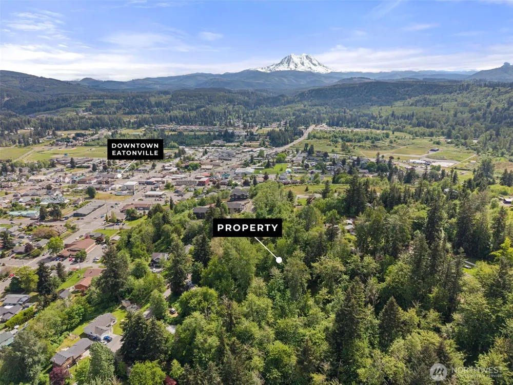 475 Larson Street Eatonville, WA 98328