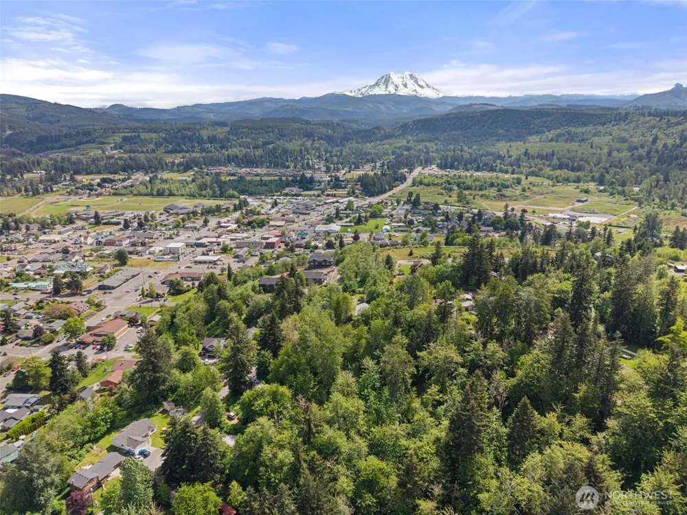 475 Larson Street Eatonville, WA 98328