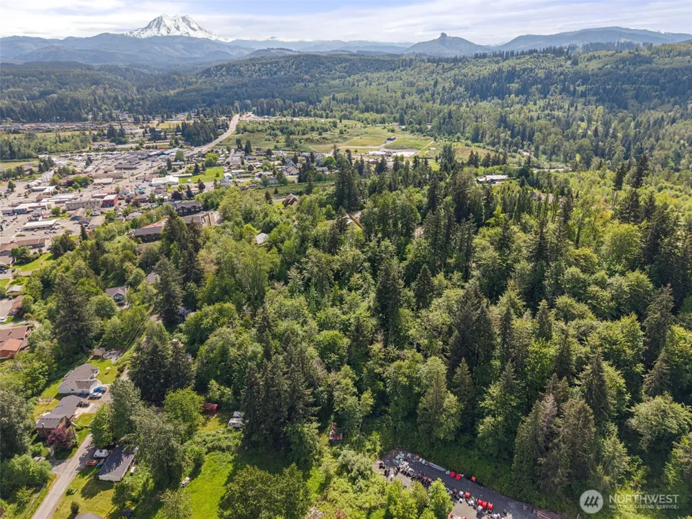 475 Larson Street Eatonville, WA 98328