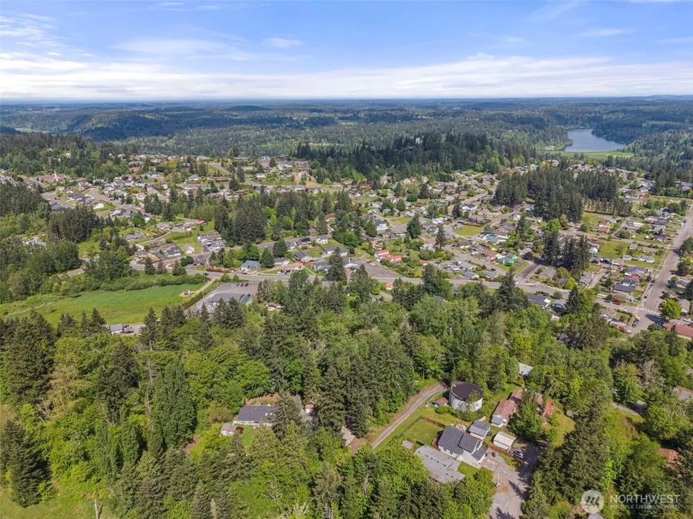 475 Larson Street Eatonville, WA 98328