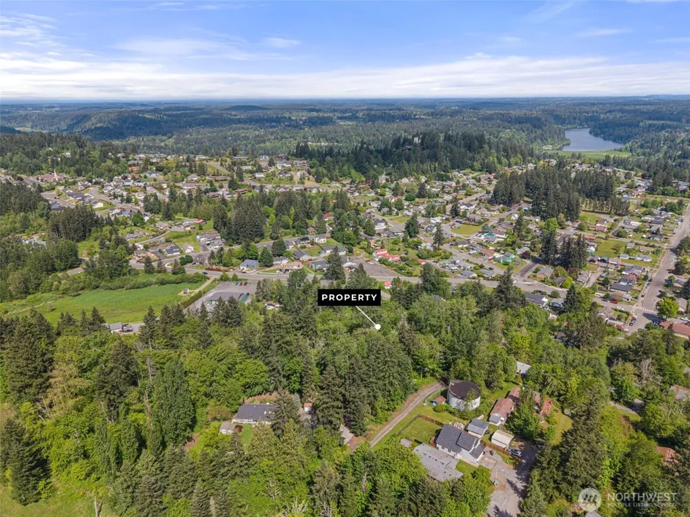 475 Larson Street Eatonville, WA 98328