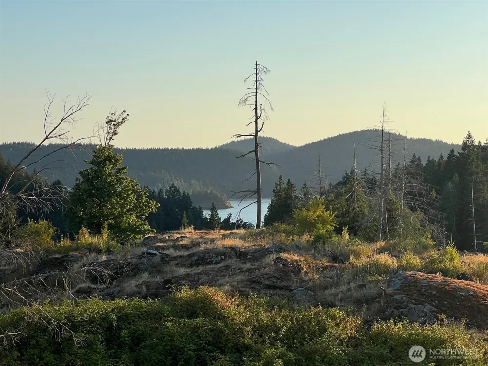 7006 State Route 20 Anacortes, WA 98221
