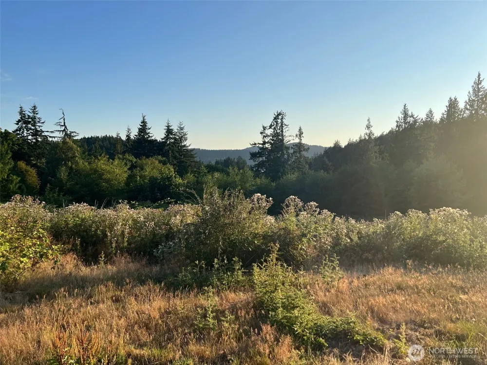 7006 State Route 20 Anacortes, WA 98221