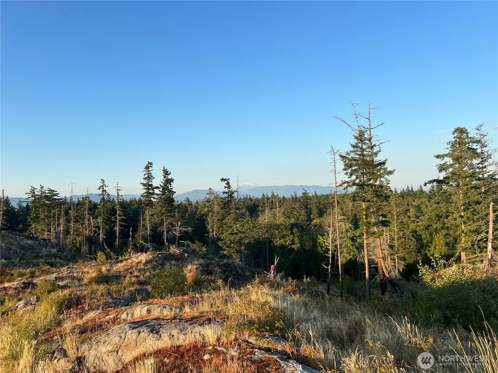 7006 State Route 20 Anacortes, WA 98221