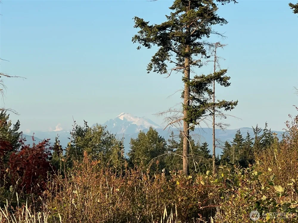 7006 State Route 20 Anacortes, WA 98221