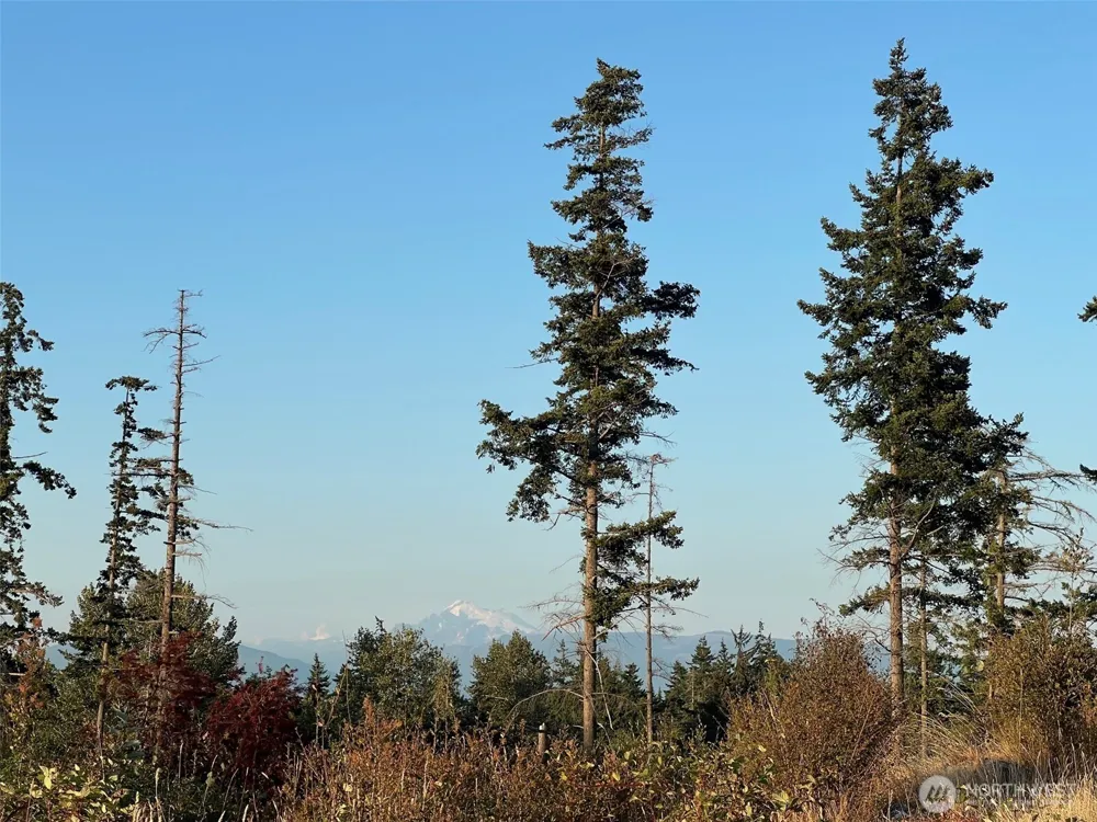 7006 State Route 20 Anacortes, WA 98221