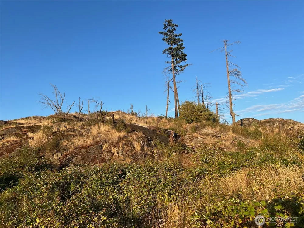 7006 State Route 20 Anacortes, WA 98221