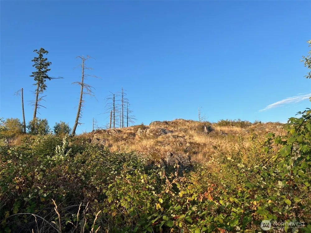 7006 State Route 20 Anacortes, WA 98221