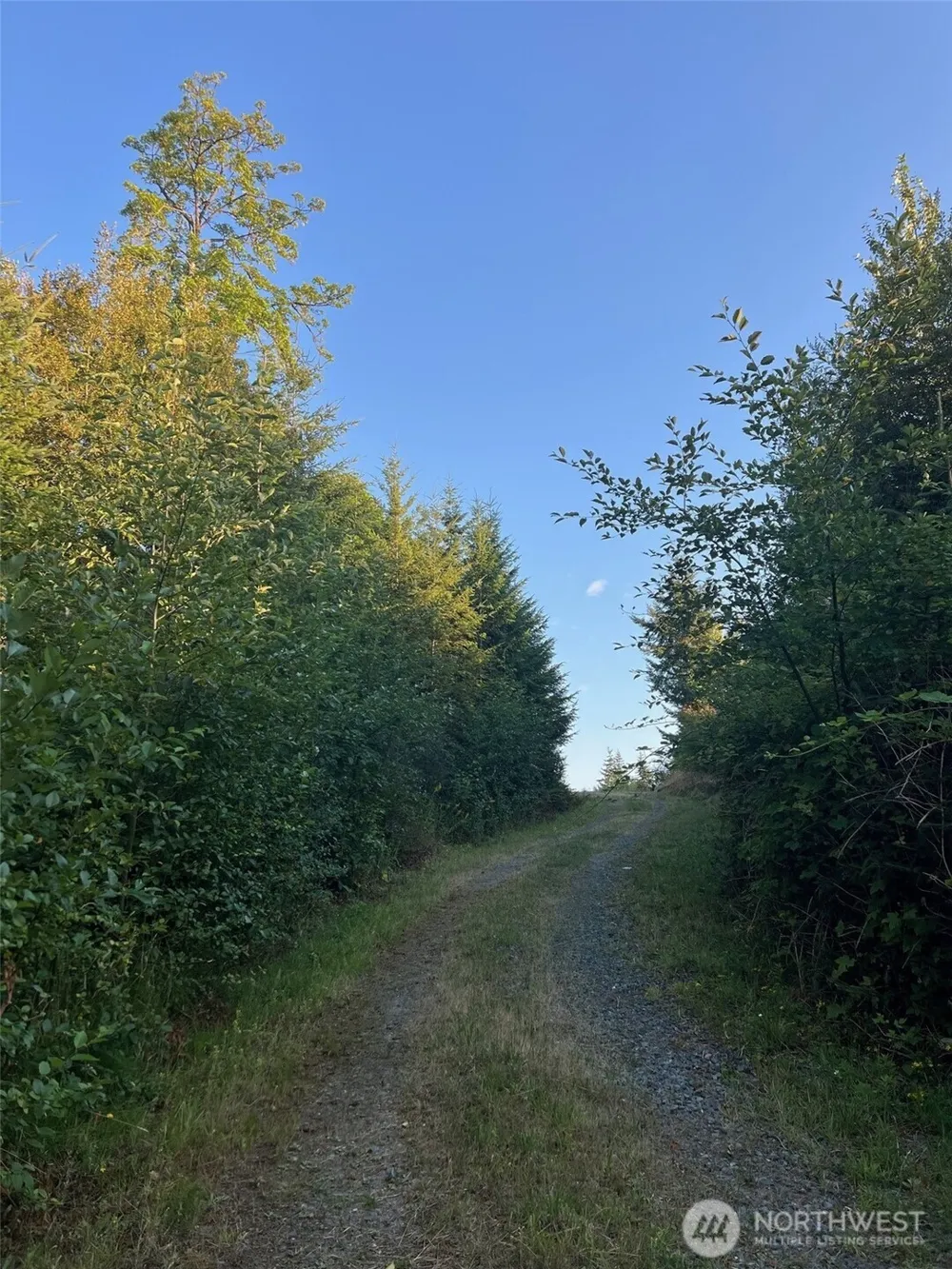 7006 State Route 20 Anacortes, WA 98221