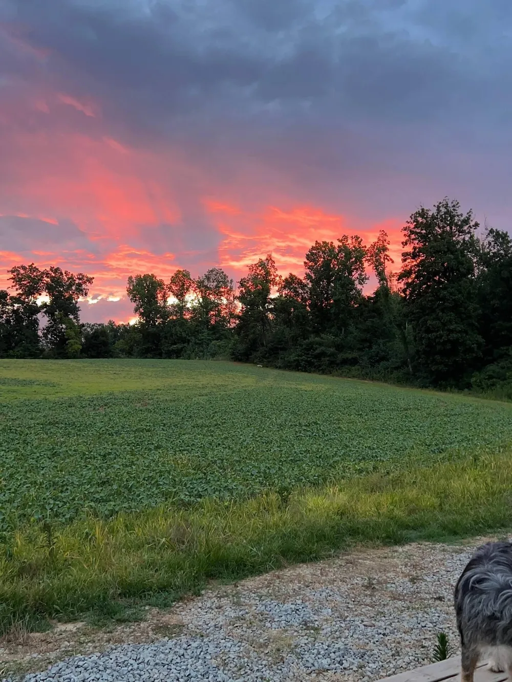 375 County Road 401 Madisonville, TN 37354