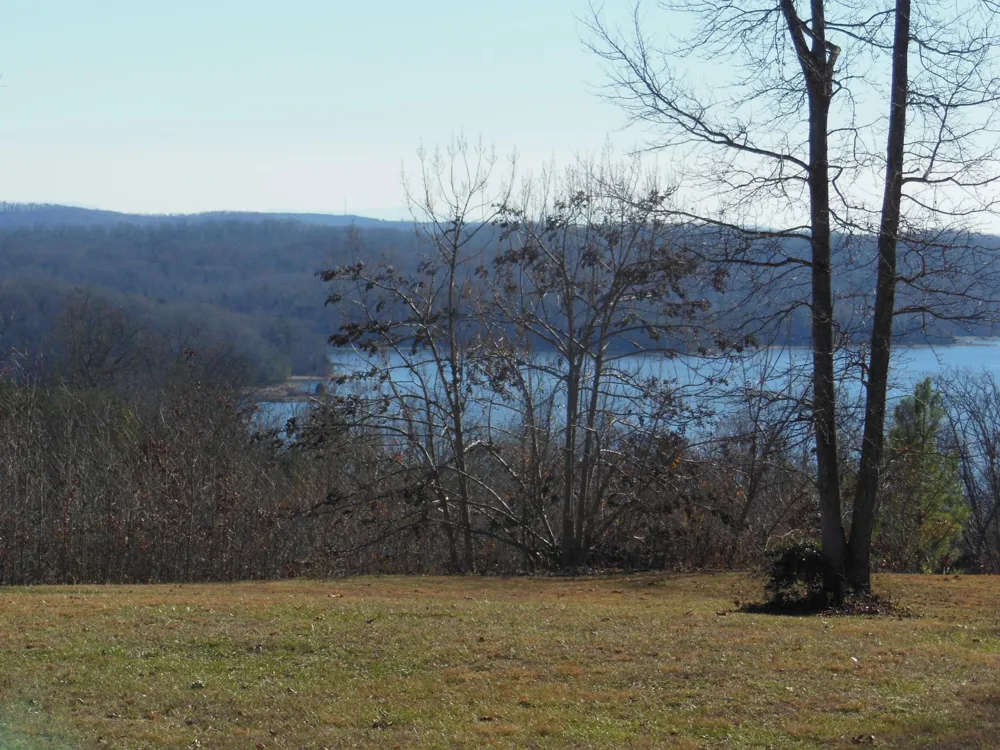 140 Quail Hollow Cove Spring City, TN 37381
