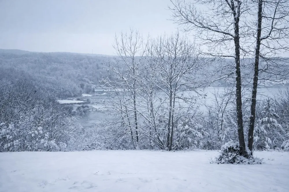 140 Quail Hollow Cove Spring City, TN 37381