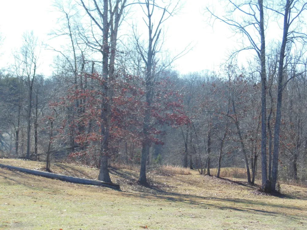 140 Quail Hollow Cove Spring City, TN 37381