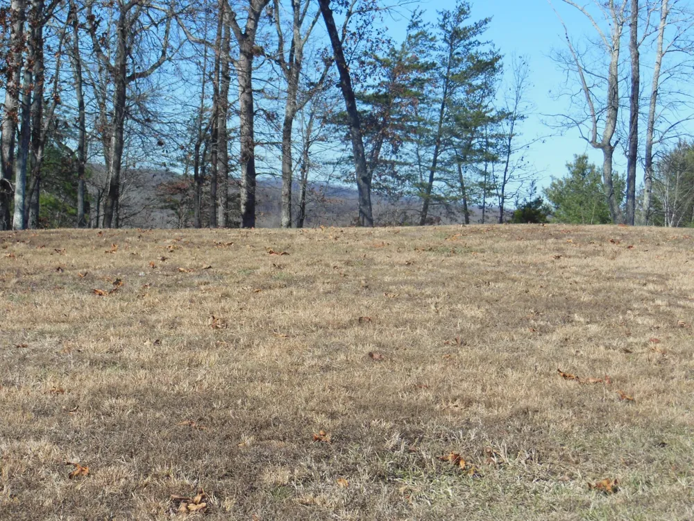 140 Quail Hollow Cove Spring City, TN 37381