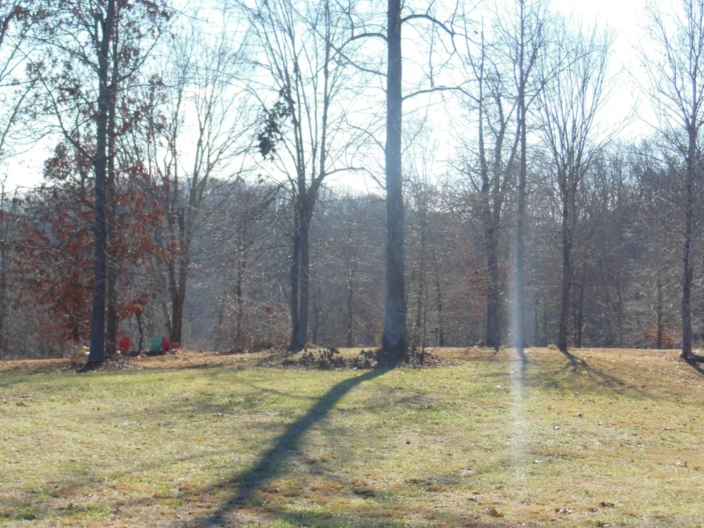 140 Quail Hollow Cove Spring City, TN 37381