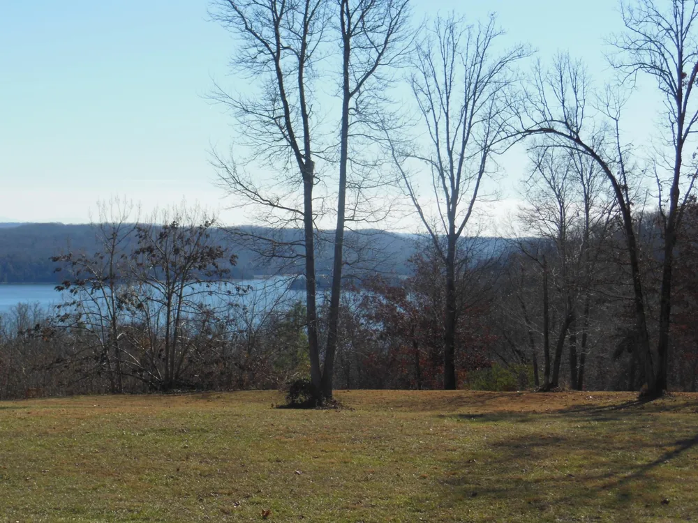 140 Quail Hollow Cove Spring City, TN 37381