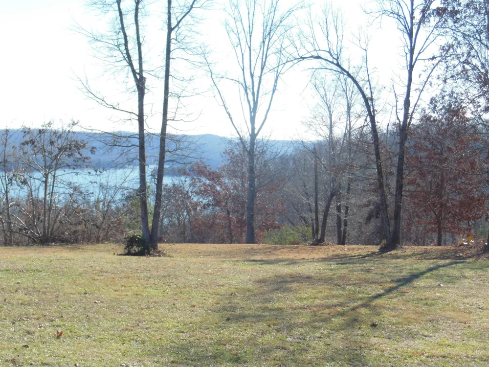 140 Quail Hollow Cove Spring City, TN 37381