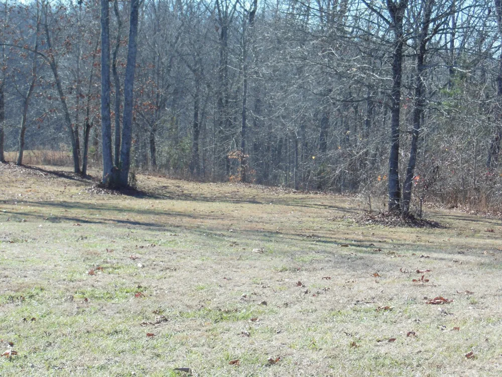 140 Quail Hollow Cove Spring City, TN 37381