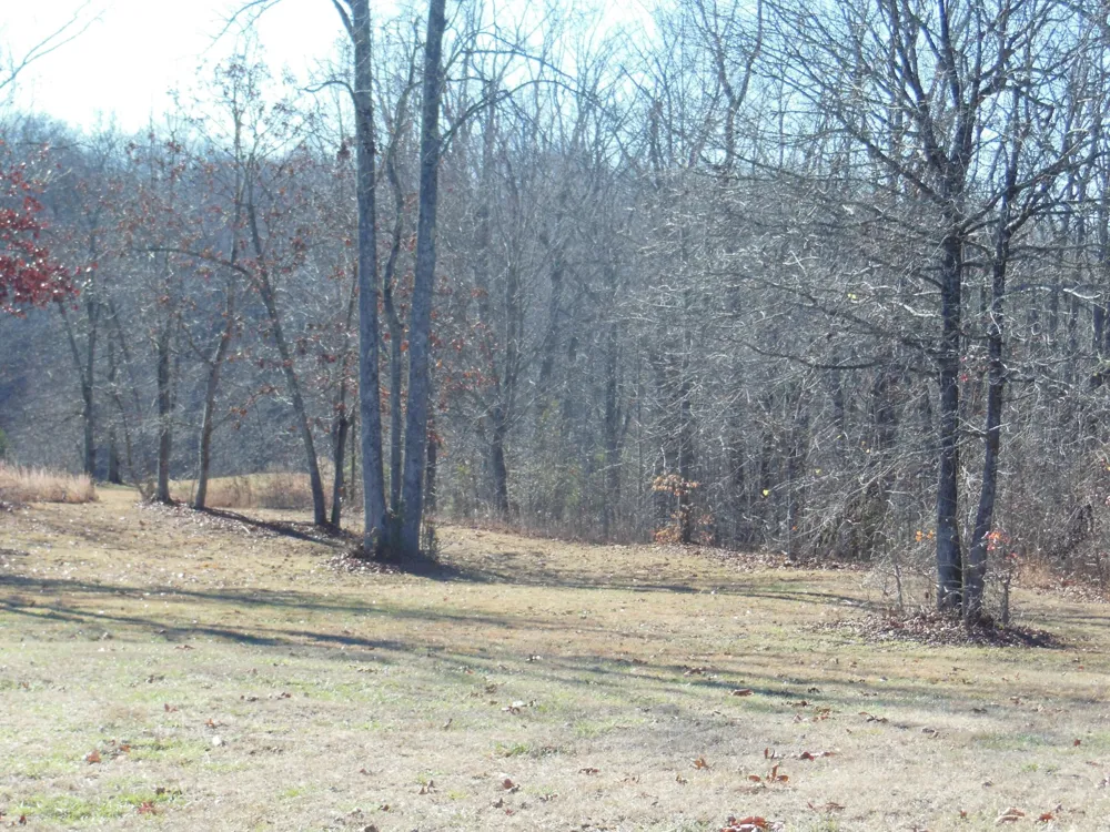140 Quail Hollow Cove Spring City, TN 37381