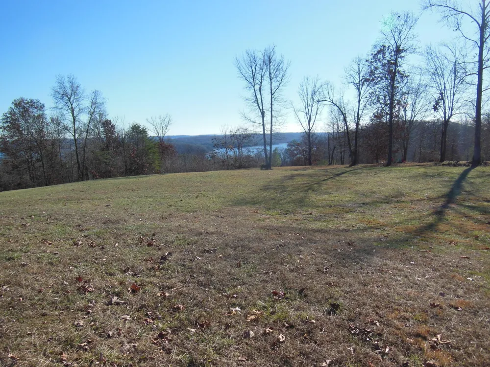 140 Quail Hollow Cove Spring City, TN 37381