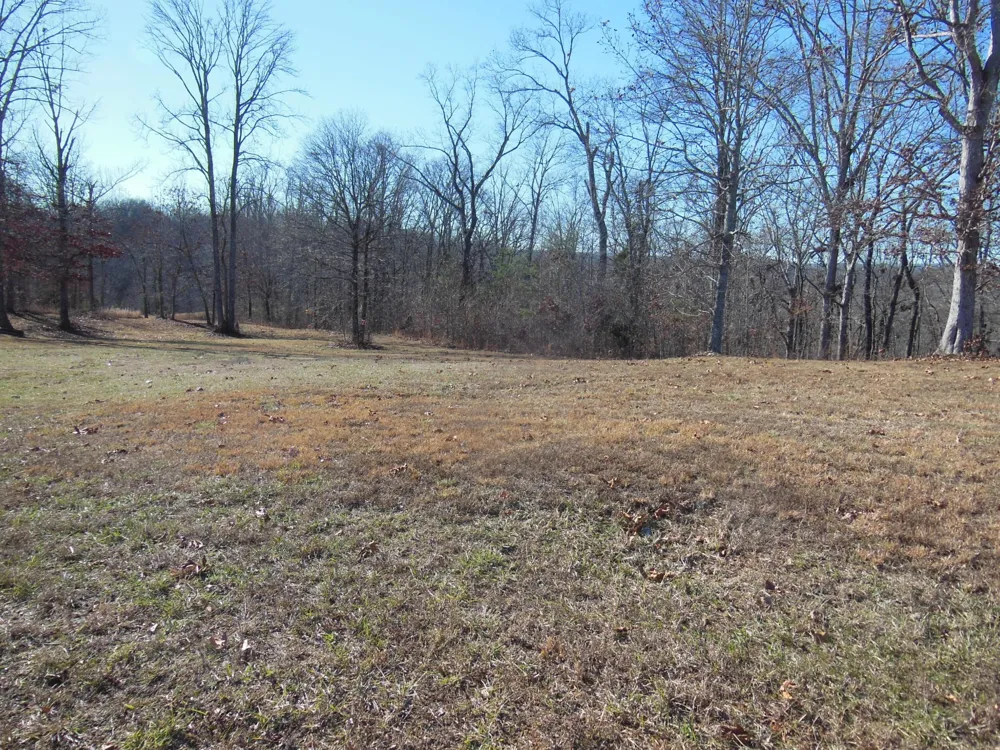 140 Quail Hollow Cove Spring City, TN 37381