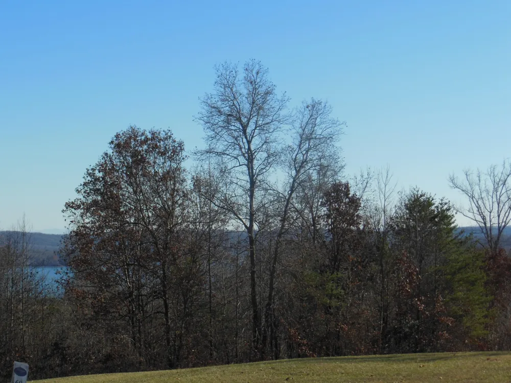 140 Quail Hollow Cove Spring City, TN 37381
