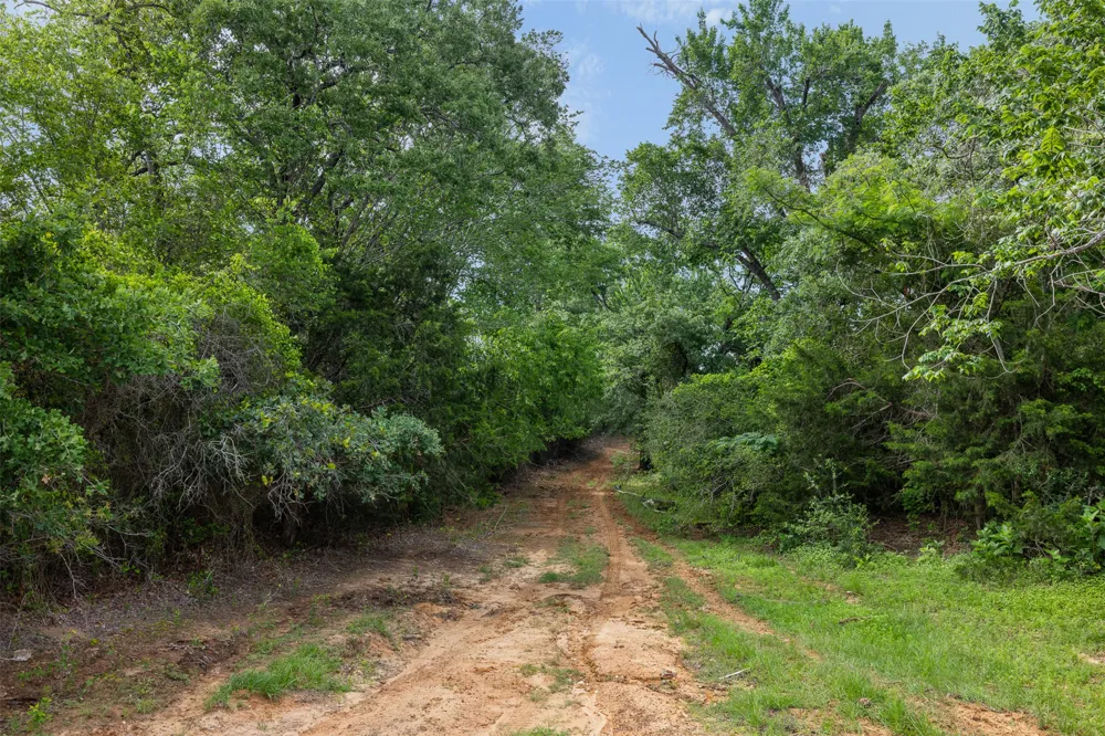 County Road 459 Road Thorndale, TX 76577