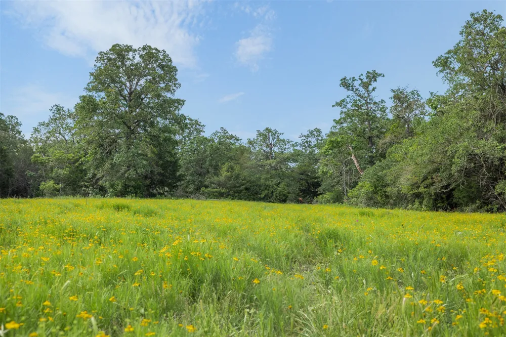 County Road 459 Road Thorndale, TX 76577