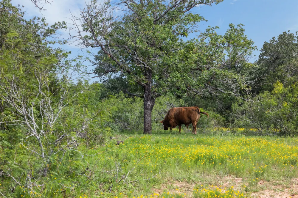 County Road 459 Road Thorndale, TX 76577