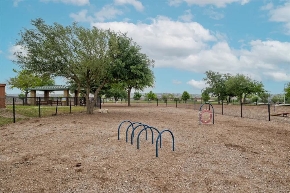 203 Soft Elm Drive Buda, TX 78610