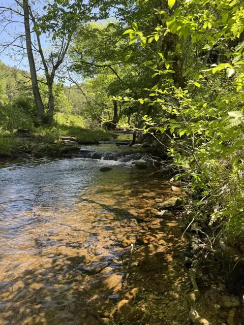 915 Chestnut Valley Road