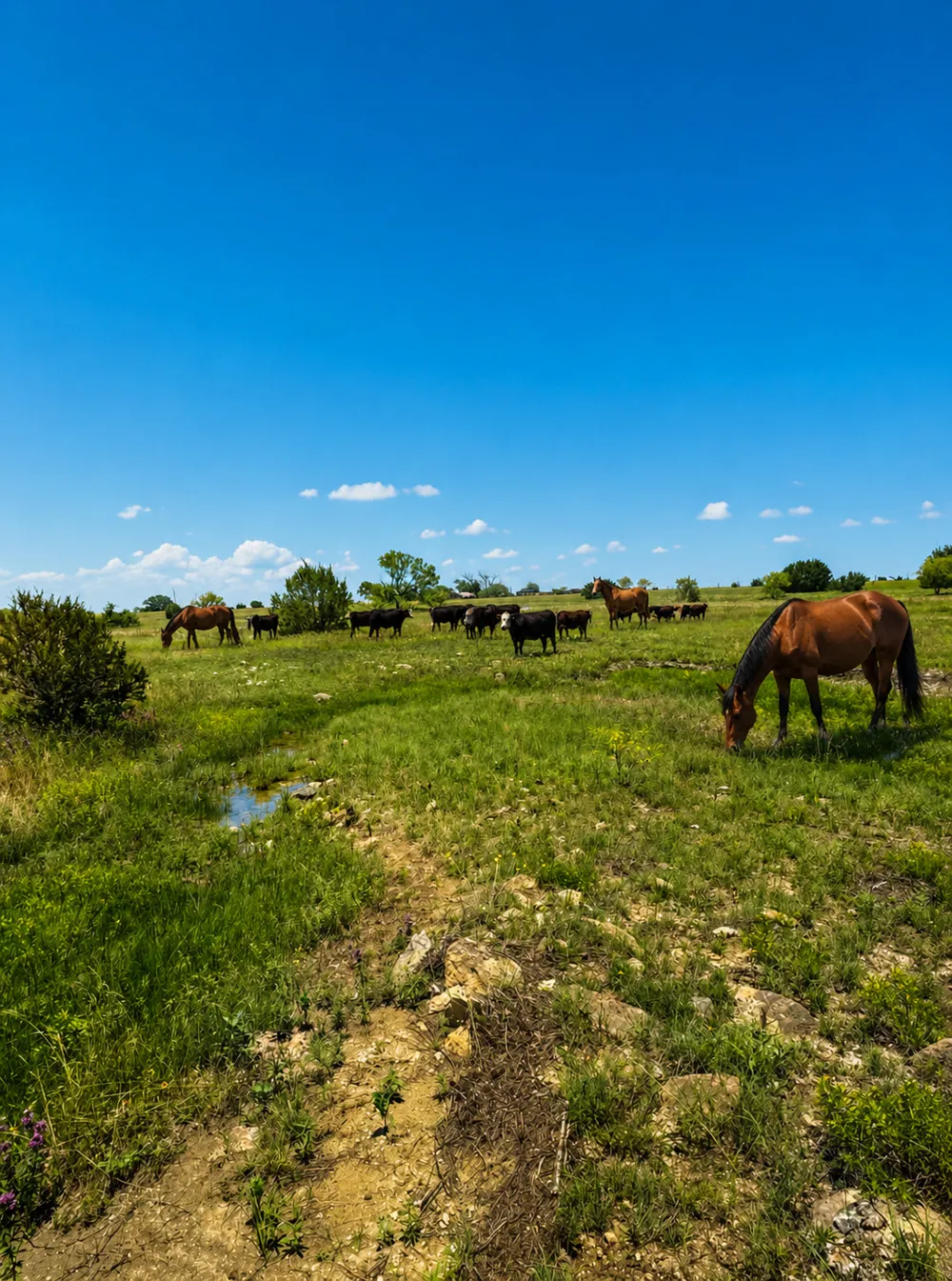 24 Private Road #4220 Hamilton, TX 76531