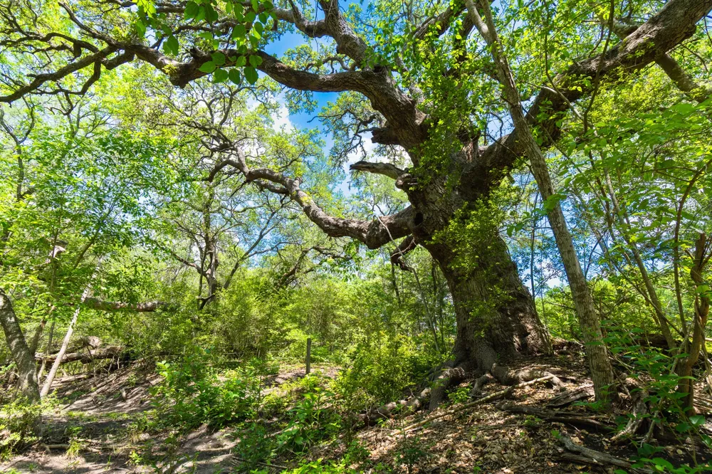 5018 Wolters Road Schulenburg, TX 78956