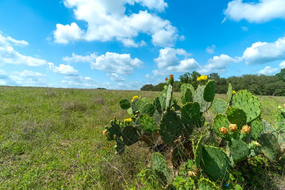 5018 Wolters Road Schulenburg, TX 78956