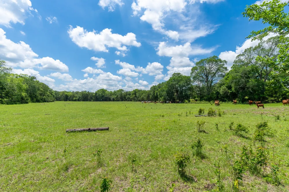 5018 Wolters Road Schulenburg, TX 78956