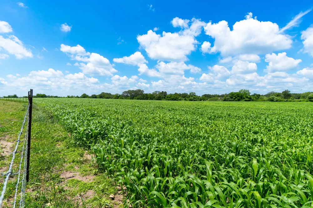 5018 Wolters Road Schulenburg, TX 78956