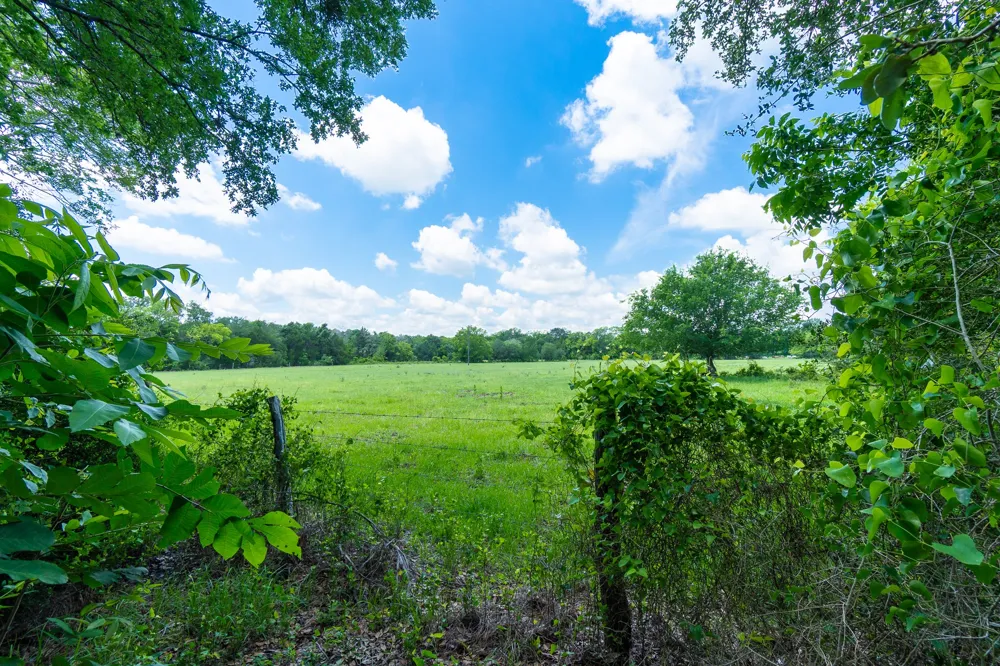 5018 Wolters Road Schulenburg, TX 78956